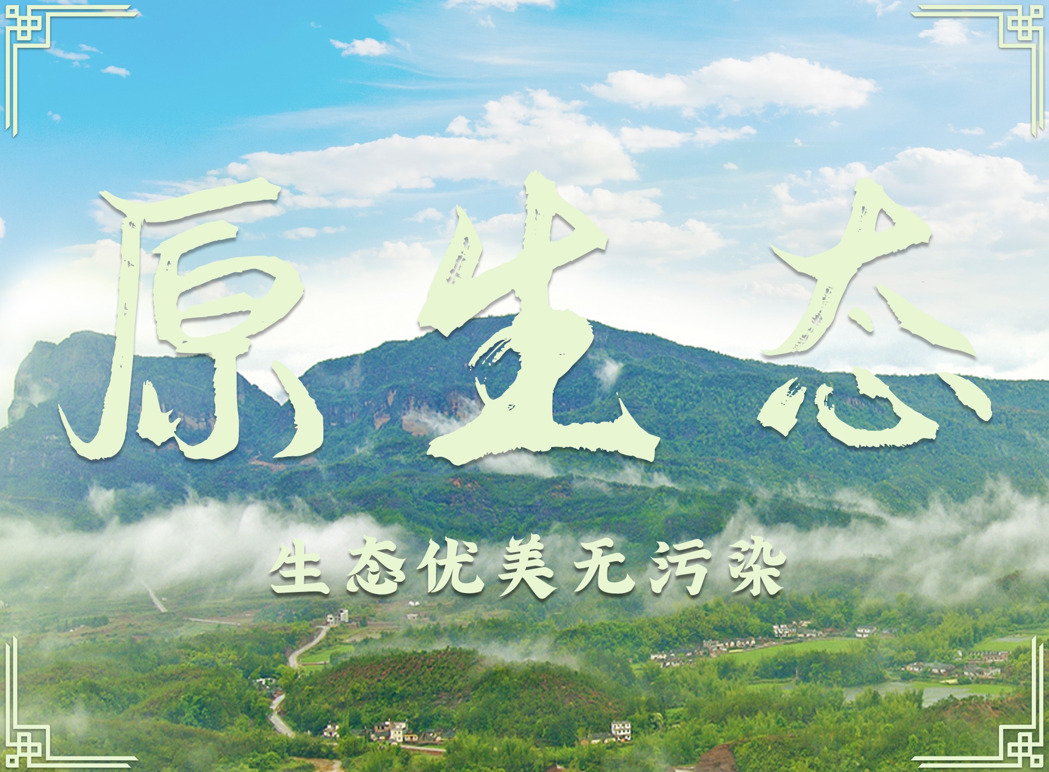 廣東南臺控股股份有限公司