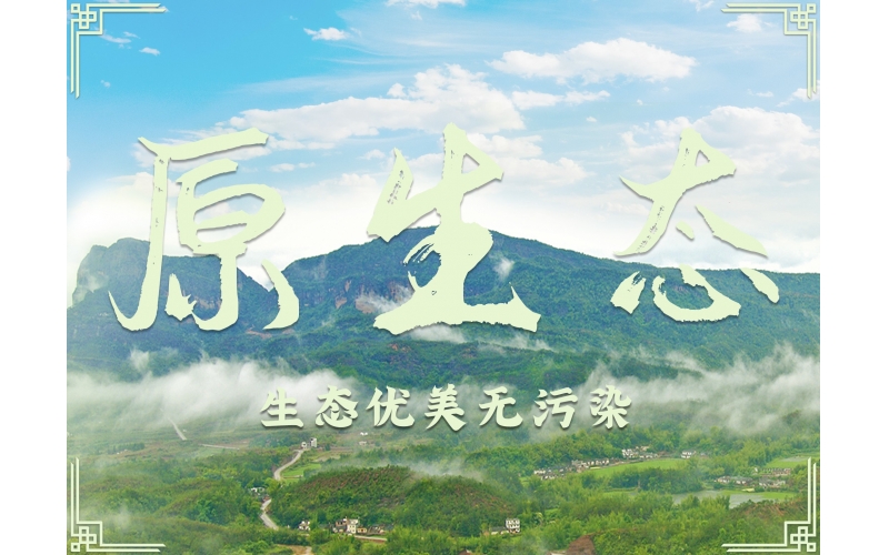 百業(yè)待興！為何白酒行業(yè)如此堅(jiān)挺？南臺(tái)酒業(yè)為你揭秘